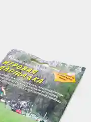 Трава газон "Игровая площадка", семена