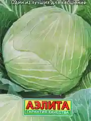 Капуста Слава 1305 (семена)