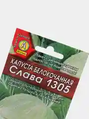 Капуста Слава 1305 (семена)