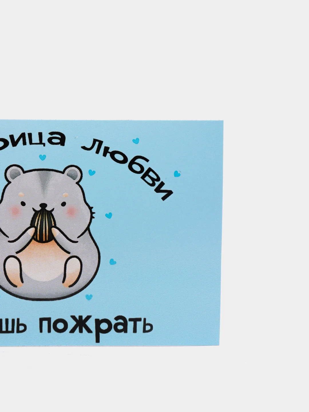 Серебряный магнит на холодильник (10 видов)