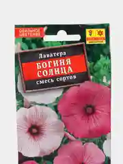 Лаватера Богиня солнца, семена, цветы