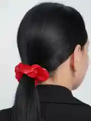 Красный резинка для волос