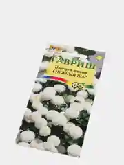 Пиретрум "Снежный Шар" семена цветов