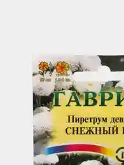 Пиретрум "Снежный Шар" семена цветов