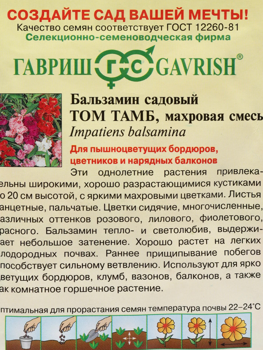 Бальзамин "Том Тамб" (семена, цветы)