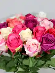 Белый искусственные розы, пионы и камелии