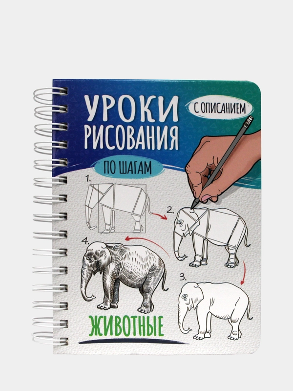 Проф-Пресс,Блокнот для зарисовок, Скетчбук А5, Уроки рисования по шагам с описанием