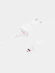 Сетевое зарядное устройство BOROFONE BA48A с Micro USB кабелем