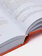 Йога Дипика: прояснение йоги, Б. К. С. Айенгар