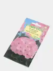 Пеларгония Найт Эплблоссом (семена,цветы)