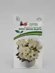 Семена партнер Эустома Мисс эбони бьюти (цветы)