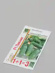 Семена огурца "Пикник F1"