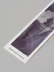 Вишнёвый закладки для книг "Эстетика" бумажные
