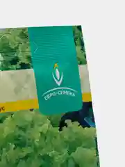 Салат полукочанный КУЧЕРЯВЕЦ Одесский 1г / Евро - семена