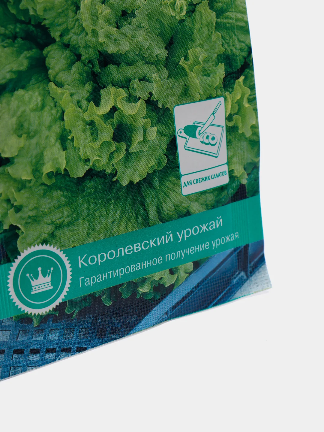 Салат полукочанный КУЧЕРЯВЕЦ Одесский 1г / Евро - семена