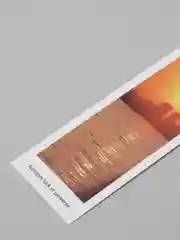 Зеленый закладки для книг "Эстетика" бумажные