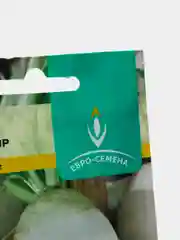 Редька МЮНХЕН БИР 1г / Евро - семена