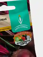 Свекла СЕВЕРЯНКА столовая 2г / Евро - семена