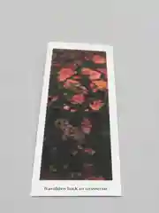 Ледяной закладки для книг "Эстетика" бумажные