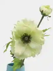 Белый ветка искусственных цветов "Маки"