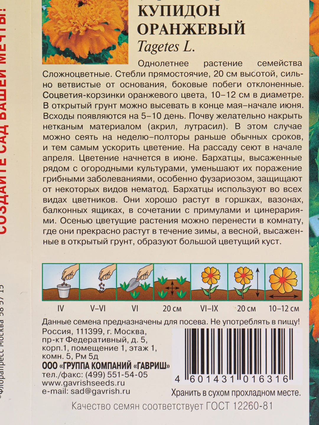 Семена цветов Бархатцы прямостоячие "Купидон оранжевый"
