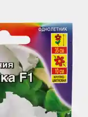 Семена Фриллитуния (петуния) "Снежинка", цветы