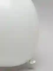 Шар латексный 12", пастель, 5 штук, белый, 4986521