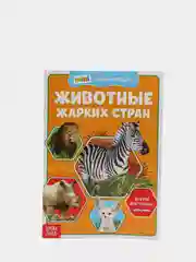 Оливковый мини-энциклопедии "Познаём всё вокруг"