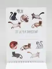 Скетчбук на гребне "Котозарисовки", А5, 40 листов