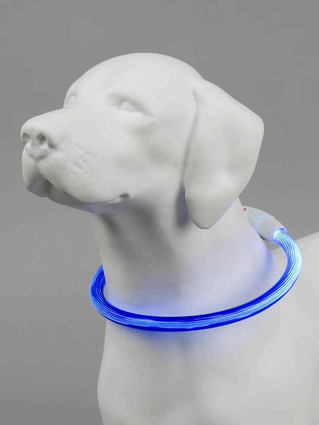 Синий светящийся LED ошейник силиконовый для собак на USB зарядке