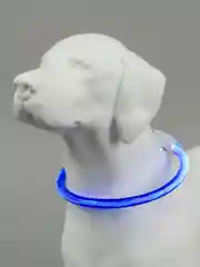 Синий светящийся LED ошейник силиконовый для собак на USB зарядке