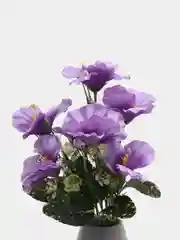 Сиреневый искуственные цветы Фрезии