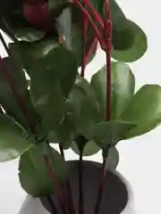 Кораллово-розовый искусственные цветы Азалия