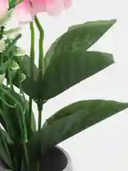 Конфетный искусственные цветы, гортензия, камелия