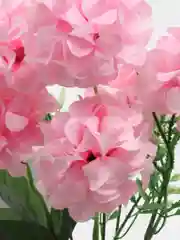 Конфетный искусственные цветы, гортензия, камелия