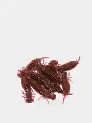 Фиолетовый силиконовая приманка Urbanfish