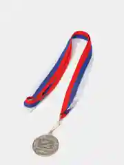 Серебряный медаль призовая на ленте триколор, металл, 1-2-3 место, золото, серебро, бронза, 4 см
