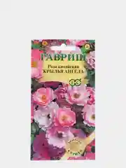 Семена Роза китайская "Крылья Ангела" набор 1, 3, 5 уп