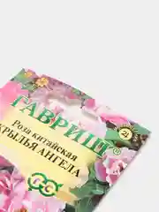 Семена Роза китайская "Крылья Ангела" набор 1, 3, 5 уп