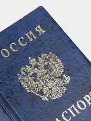 Синий обложка на паспорт