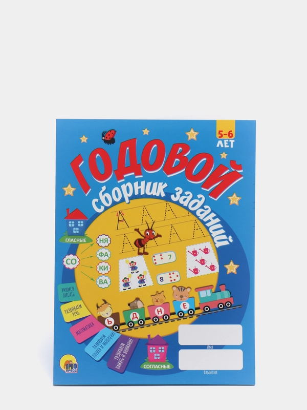 Книга годовой сборник развивающих заданий для 5-6 лет, 128 стр. Проф-Пресс