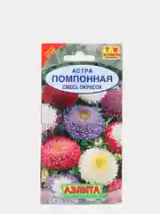 Семена Астра "Помпонная" смесь окрасок