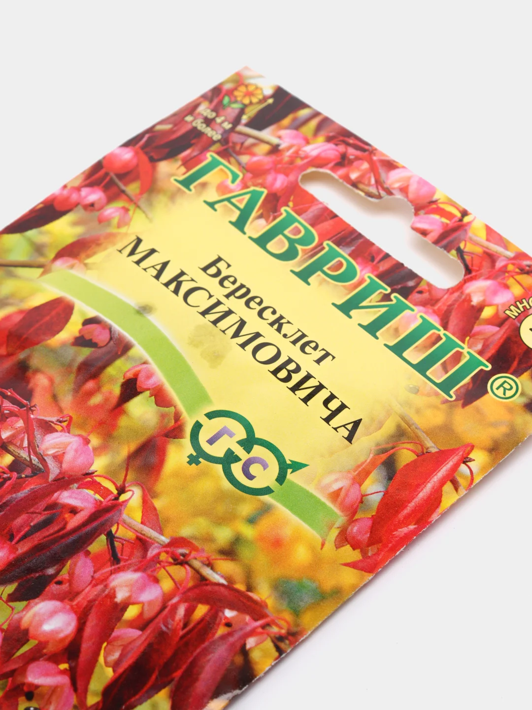 Бересклет Максимовича (семена,цветы)