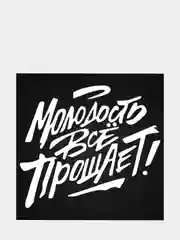 Наклейка на машину "Молодость все прощает", 14*20 см