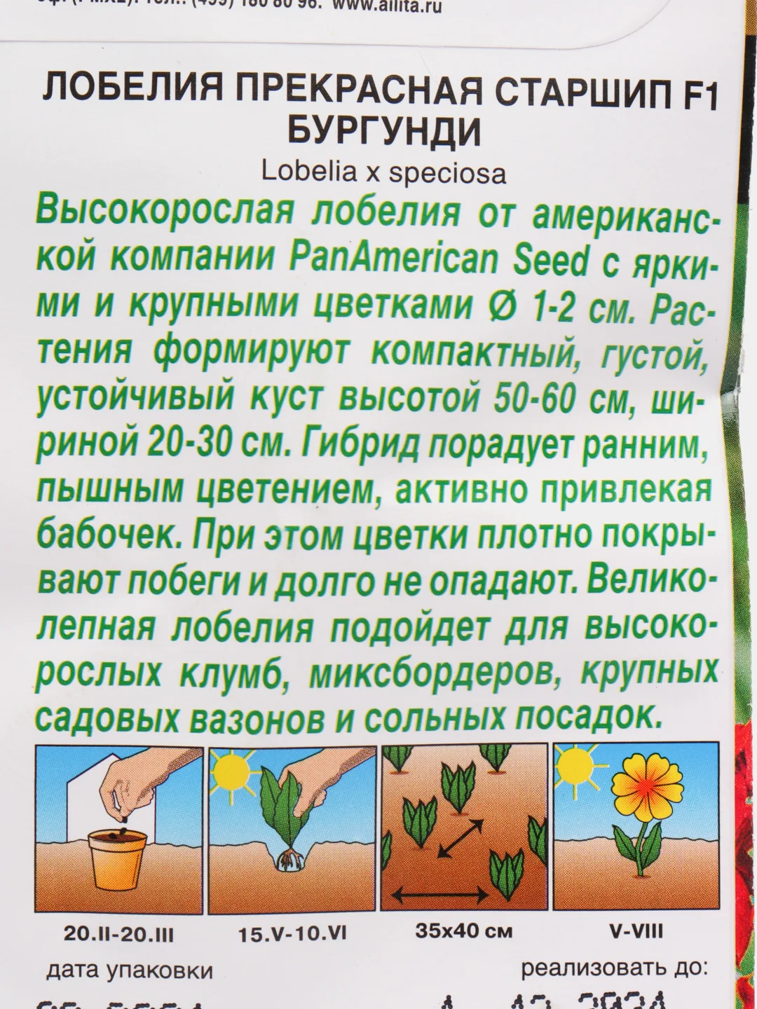 Семена "Лобелия. Старшип бургунди"