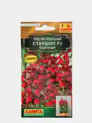 Семена "Лобелия. Старшип бургунди"