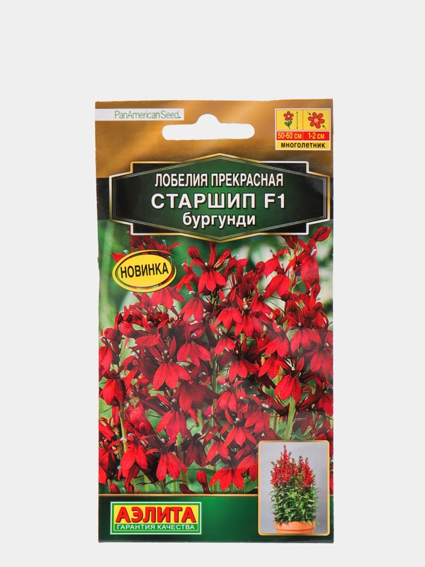 Семена "Лобелия. Старшип бургунди"