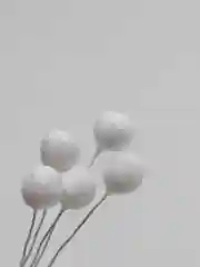 Основа для бутона хлопковая, шар 10 мм, 5 штук