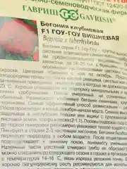 Семена Бегония F1 "Гоу-Гоу" вишневая