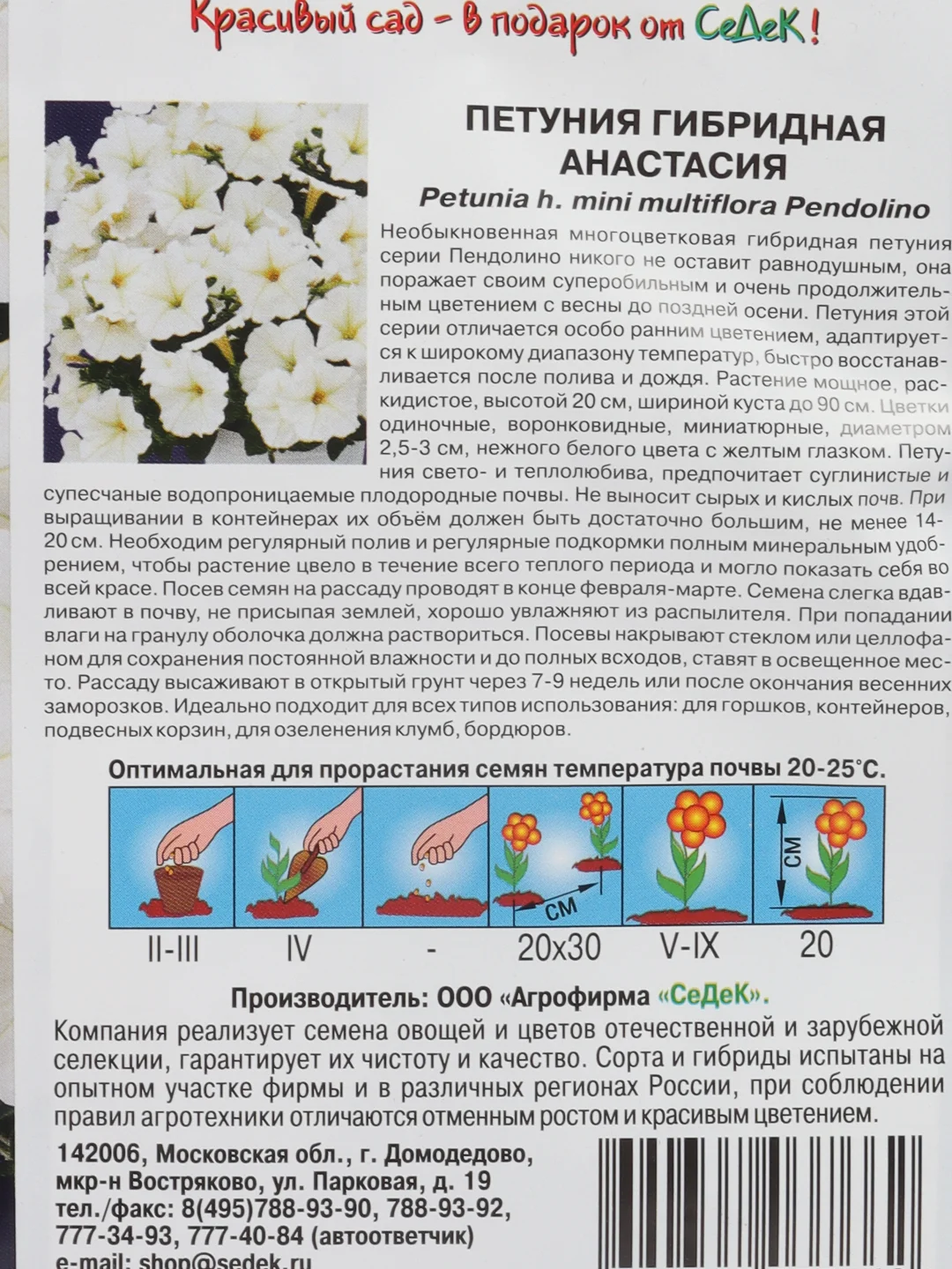 Цветы Петуния гибридная "Анастасия", семена
